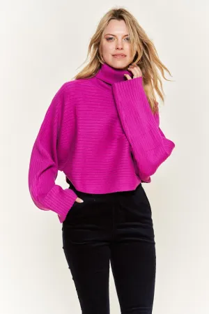 Long Sleeve Turtleneck Sweater