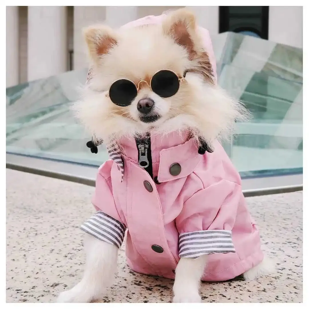 Retro Padded Windproof British Style Rainproof Dog Raincoat Pet Dog Jacket Coats Small Dog Clothes for Small Large Dogs