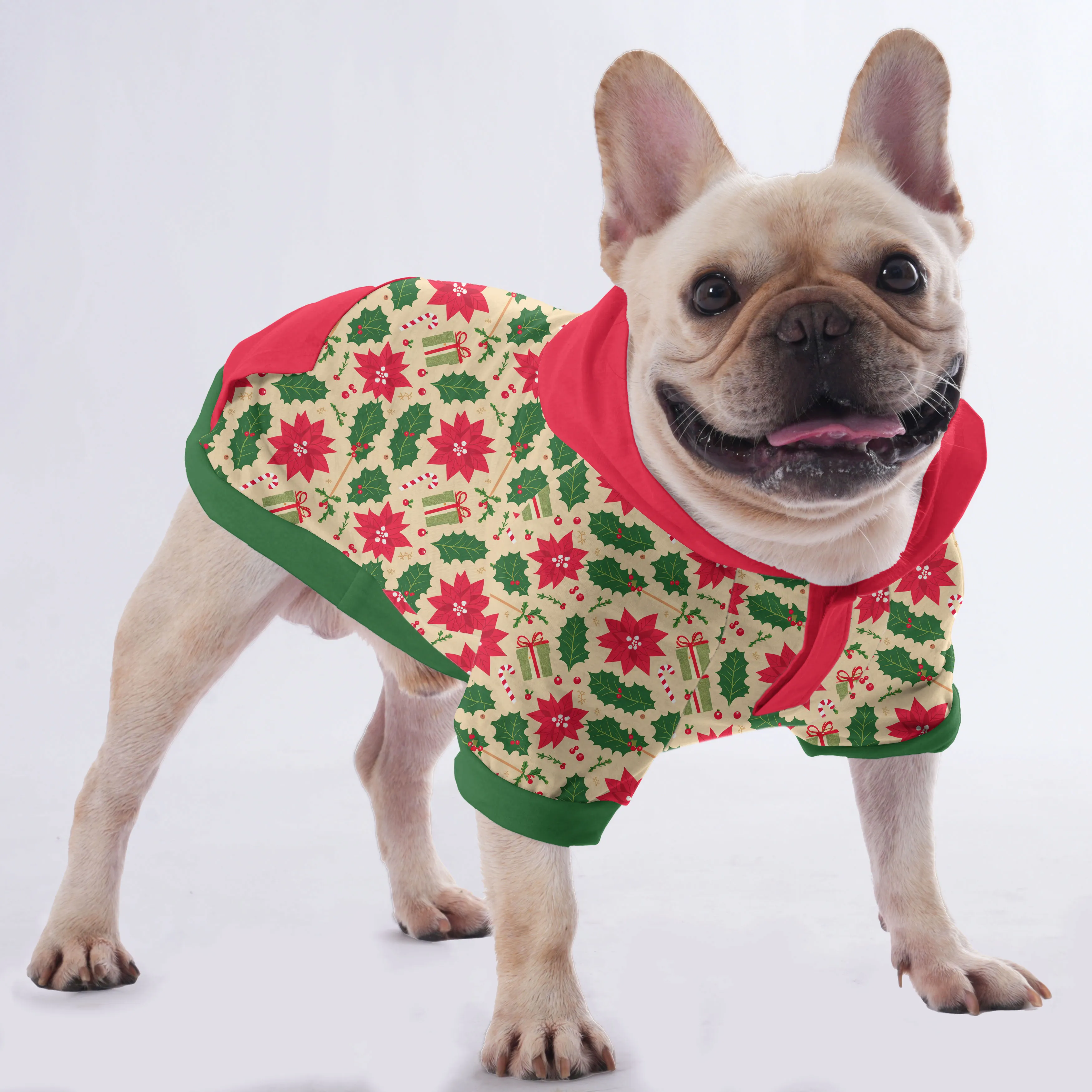 Suzzie - Hoodies for French Bulldog  | Frenchie Shop Original