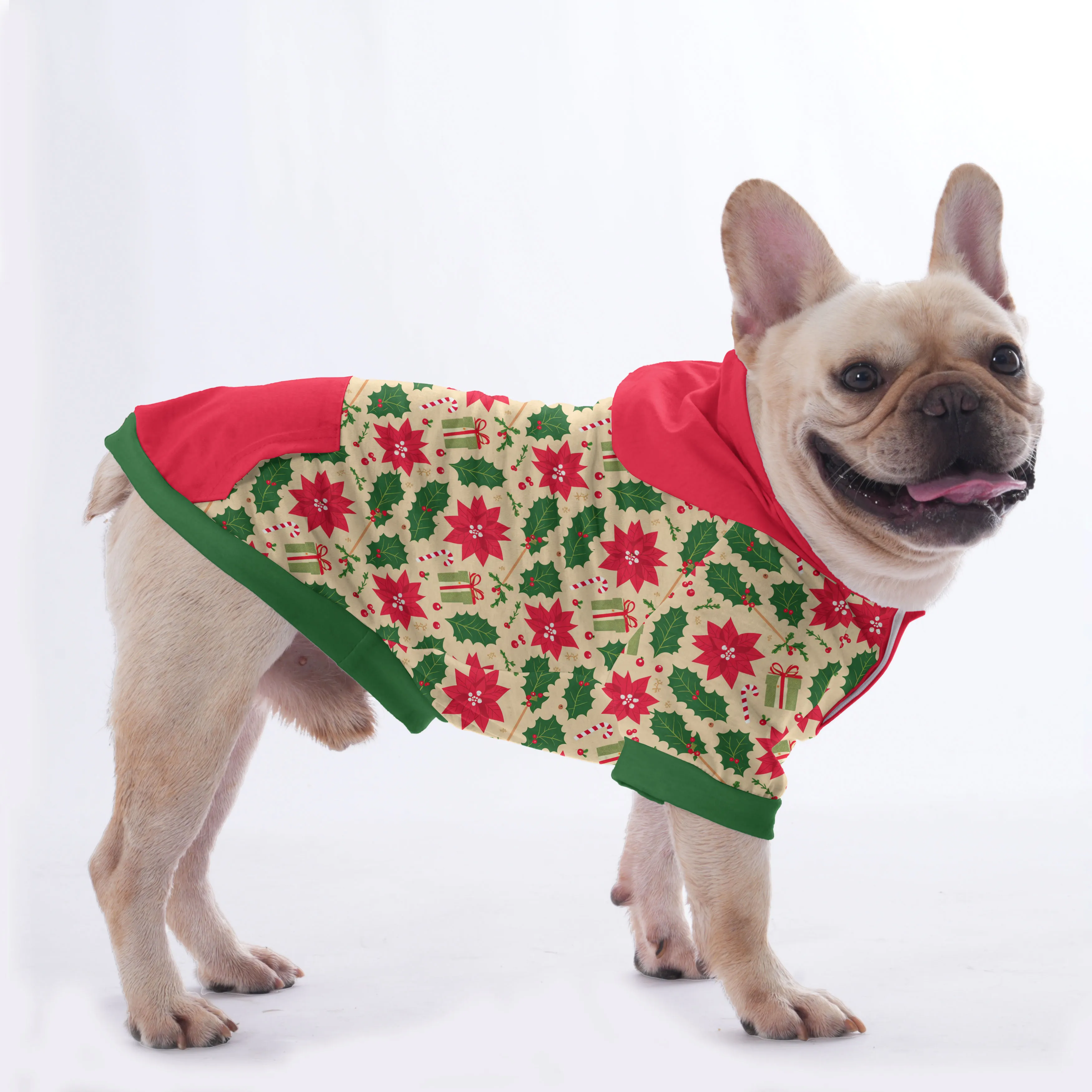 Suzzie - Hoodies for French Bulldog  | Frenchie Shop Original