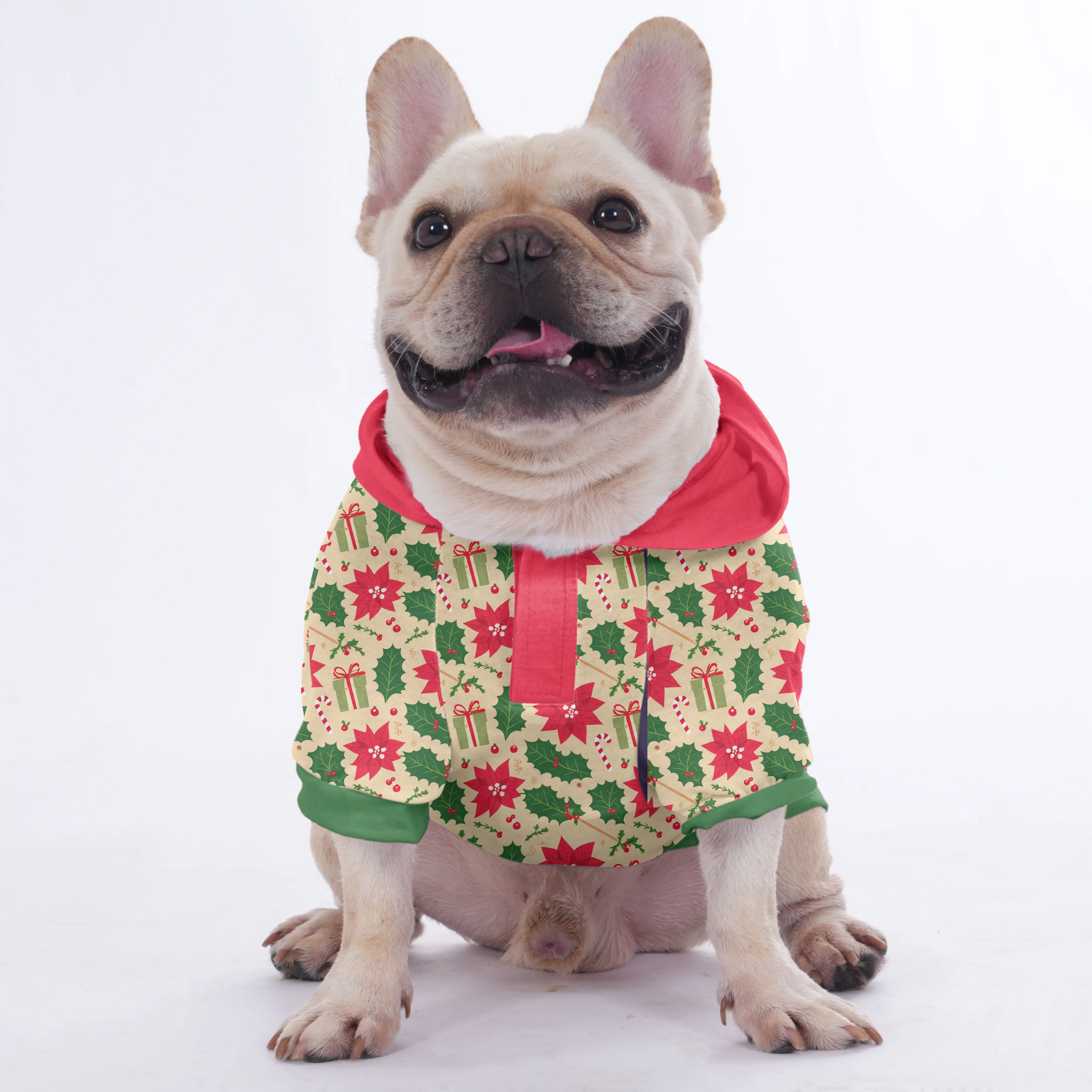 Suzzie - Hoodies for French Bulldog  | Frenchie Shop Original